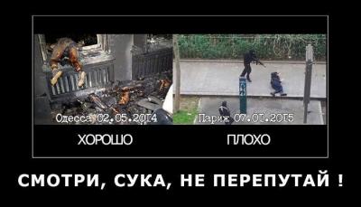 Прикрепленное изображение: 10898222_767407136677479_985415218408918822_n.jpg